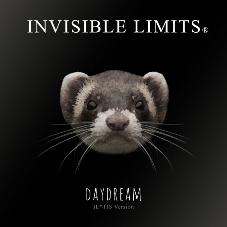 INVISIBLE LIMITS – DAYDREAM (IL-TIS Version)